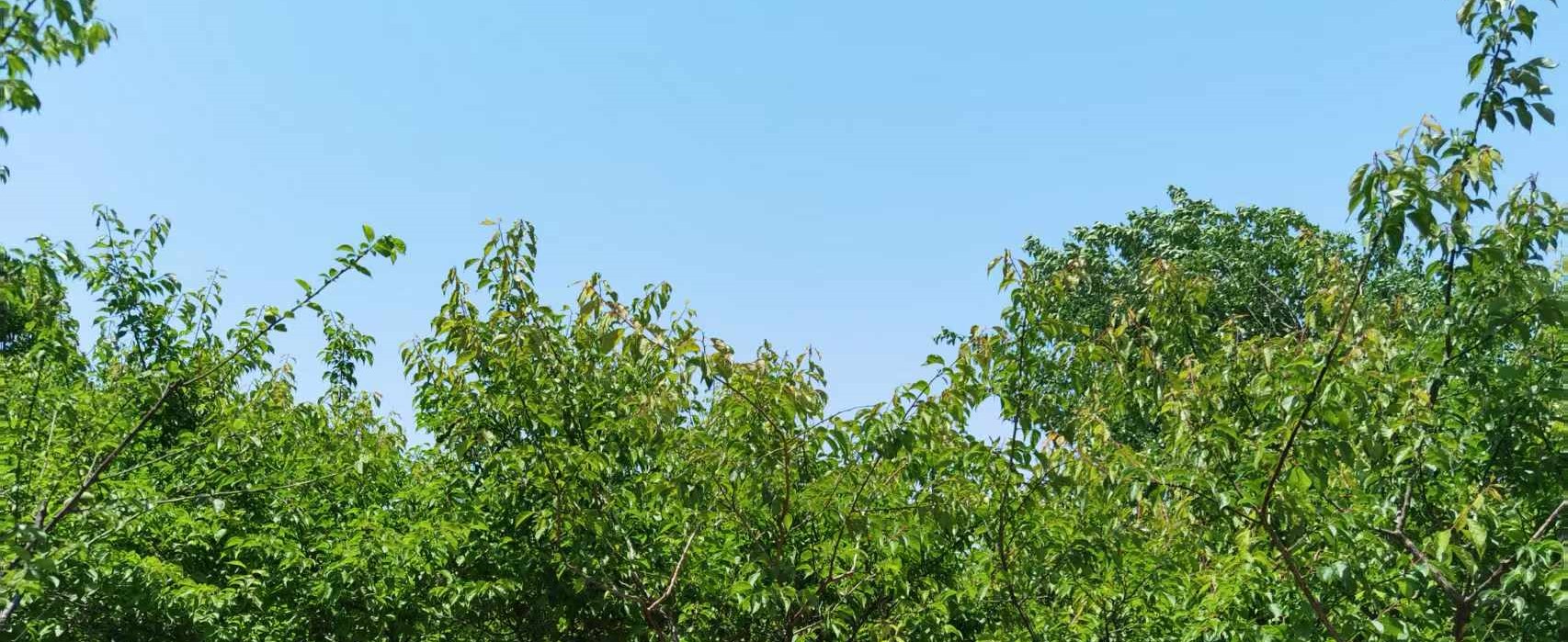 上海房產(chǎn)抵押(婚前婚后房產(chǎn)分割)？ (http://m.ssksuo.cn/) 知識(shí)問答 第4張