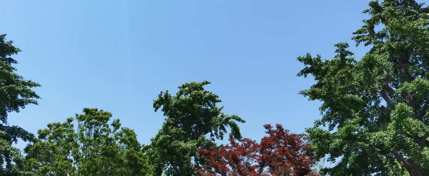 上海房產(chǎn)抵押(婚前婚后房產(chǎn)分割)？ (http://m.ssksuo.cn/) 知識(shí)問答 第5張