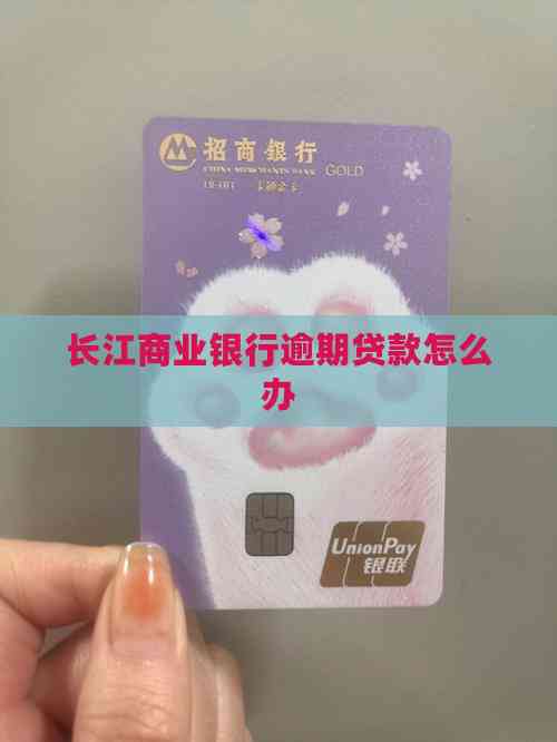 車(chē)輛 抵押貸款咨詢(xún)(逾期貸款處理方法)？ (http://m.ssksuo.cn/) 知識(shí)問(wèn)答 第2張